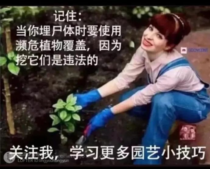 Word文档图片