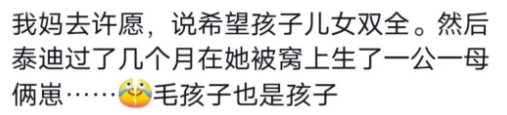 Word文档图片