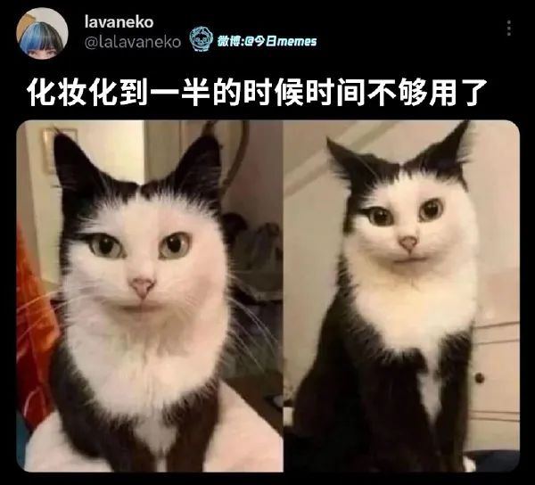 Word文档图片