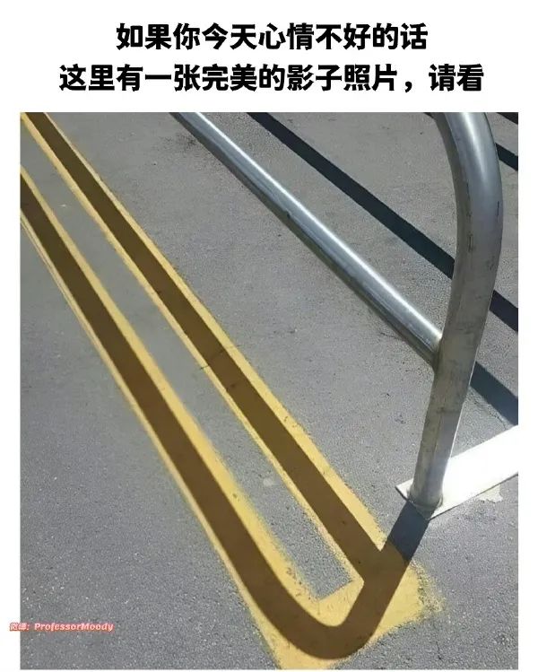 图：这猫的五官长得好啊