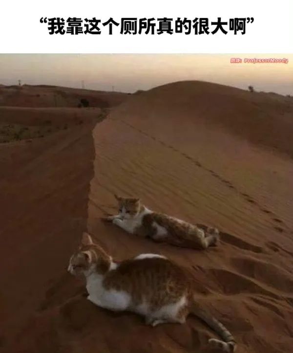 Word文档图片