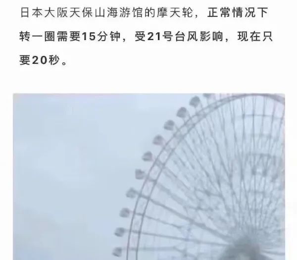 Word文档图片