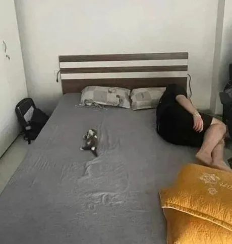 Word文档图片