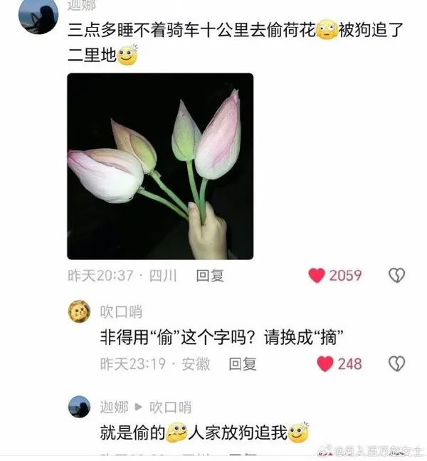 Word文档图片