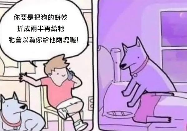 Word文档图片