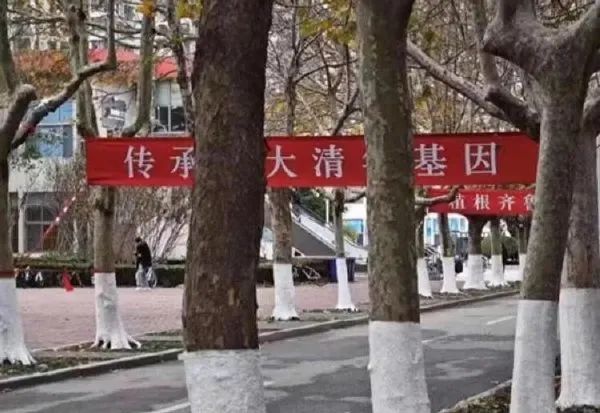 Word文档图片