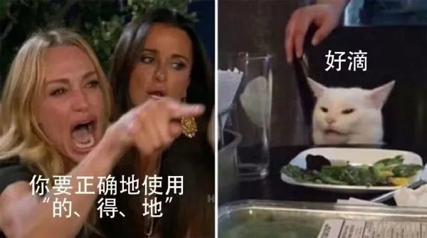 Word文档图片