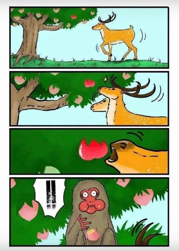 Word文档图片