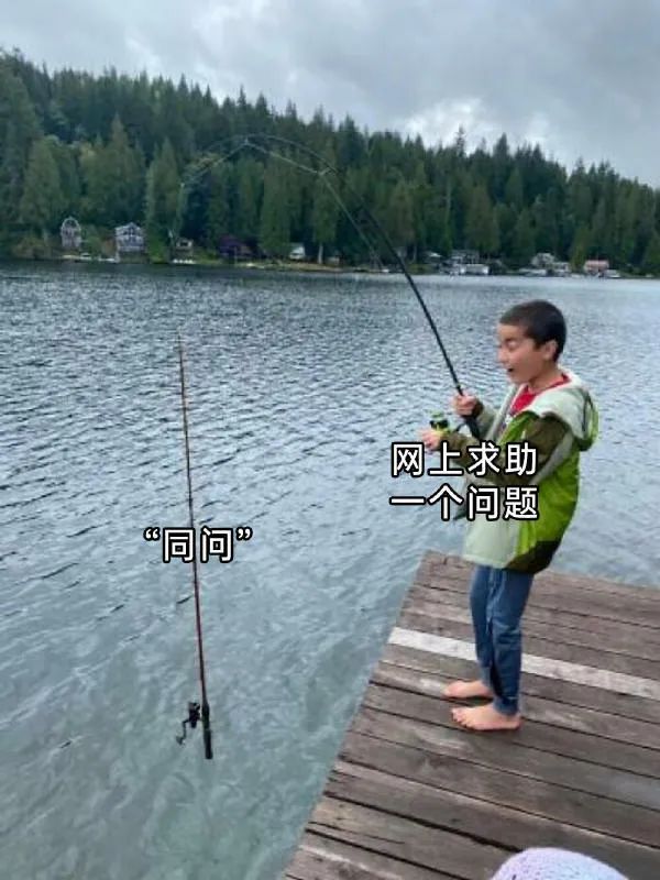 Word文档图片