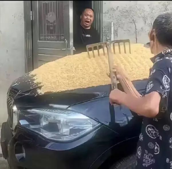 Word文档图片
