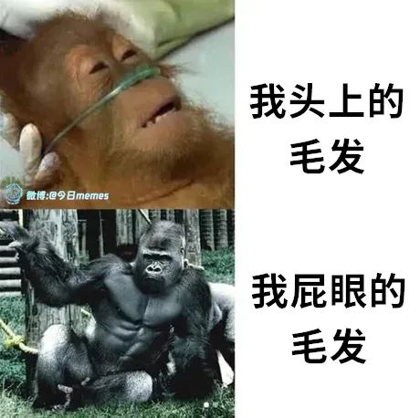 Word文档图片