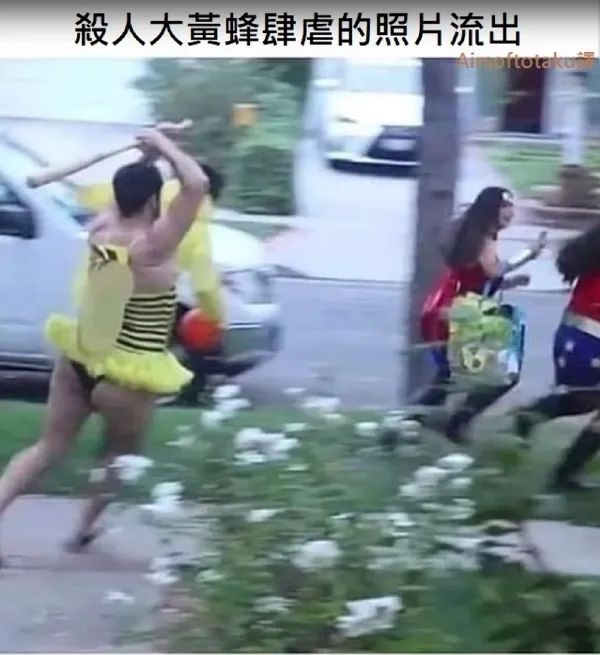 Word文档图片