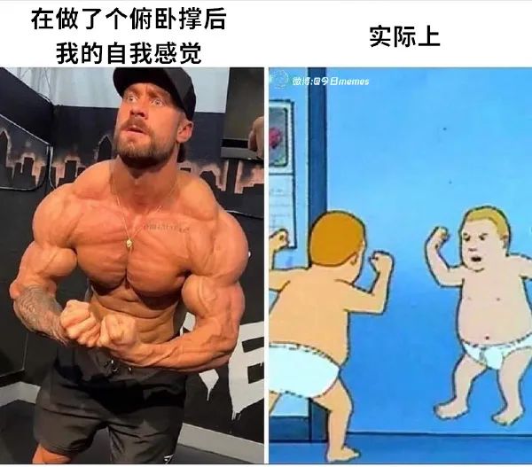 Word文档图片