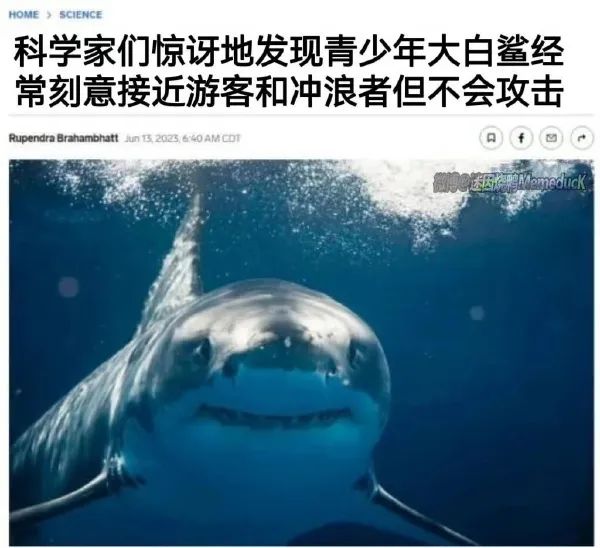 Word文档图片