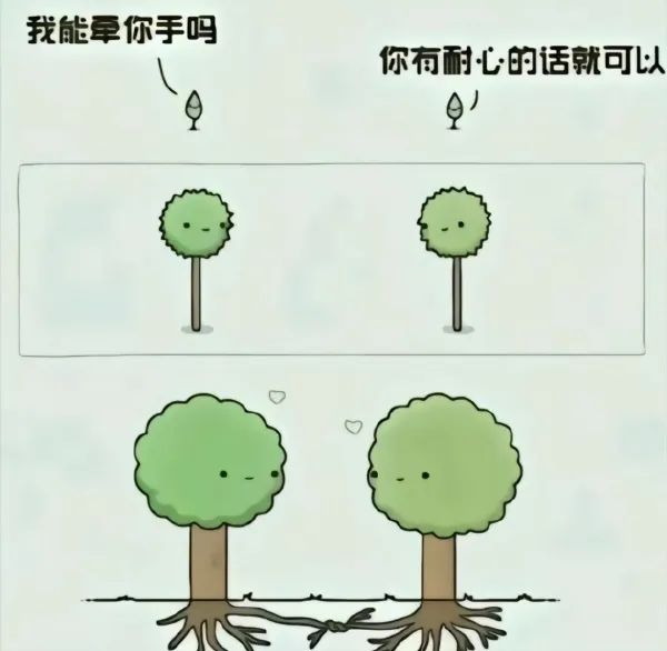 Word文档图片