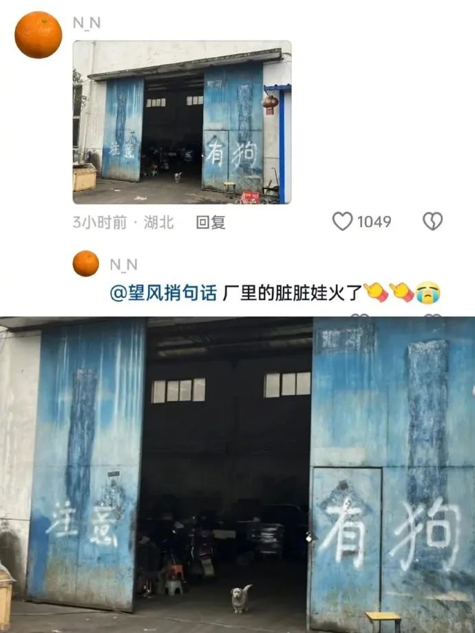 Word文档图片
