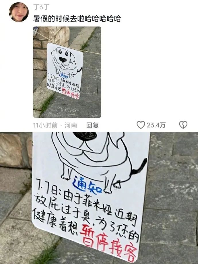 Word文档图片