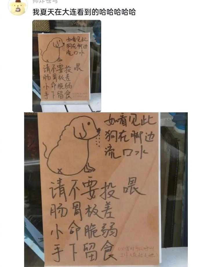 Word文档图片