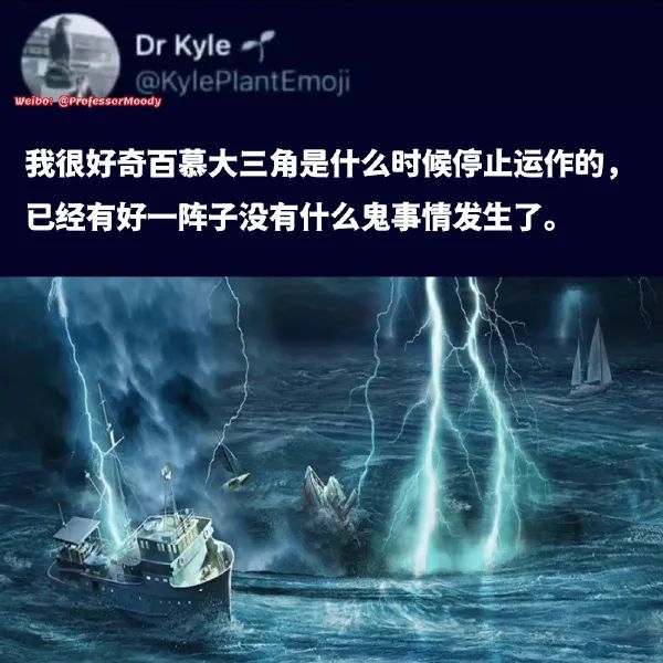 Word文档图片