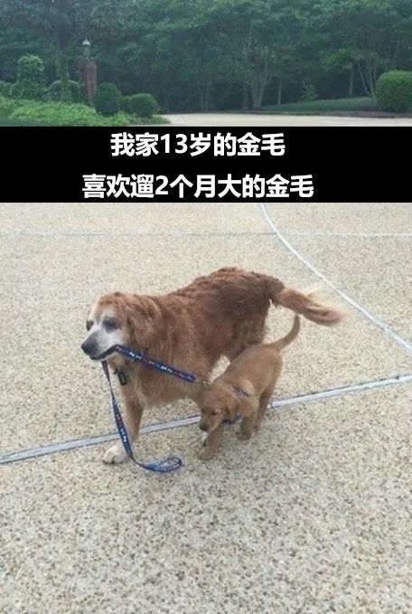 Word文档图片
