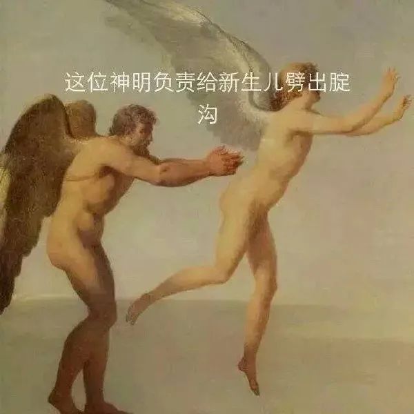 Word文档图片