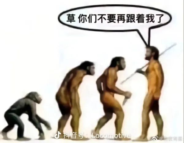 Word文档图片