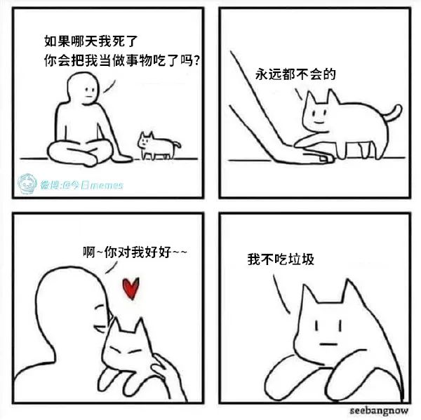 Word文档图片