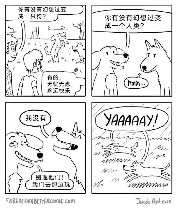 Word文档图片