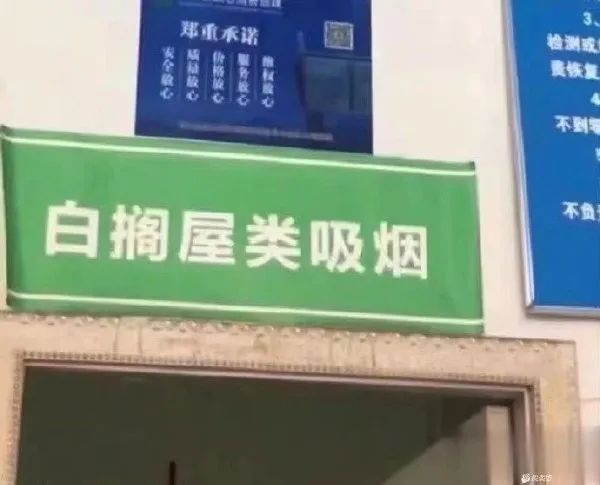 Word文档图片