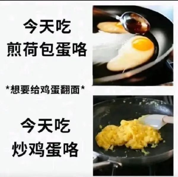 Word文档图片