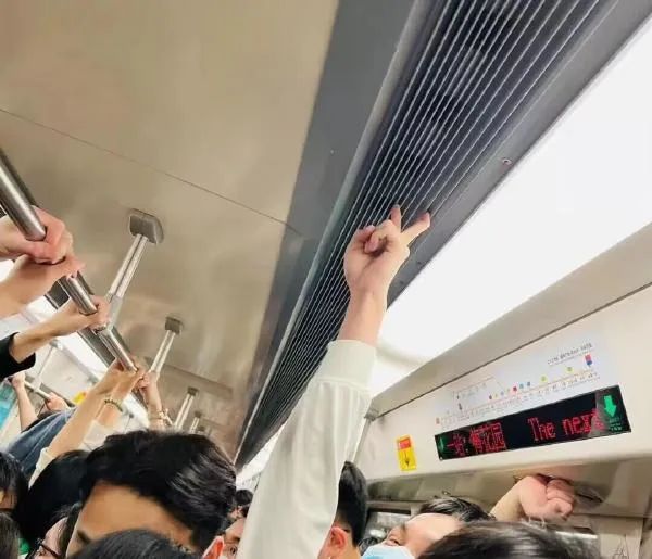 Word文档图片