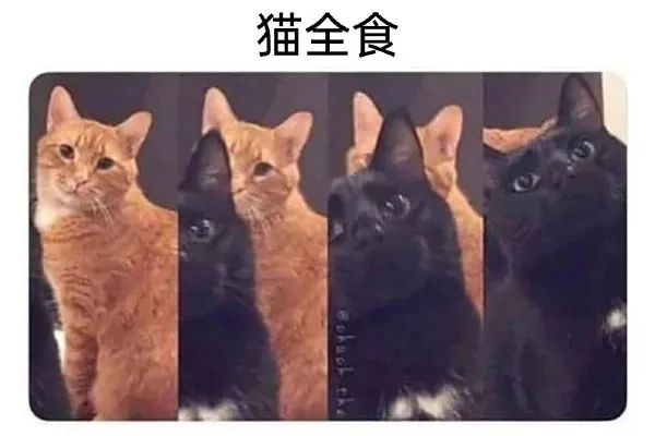 Word文档图片