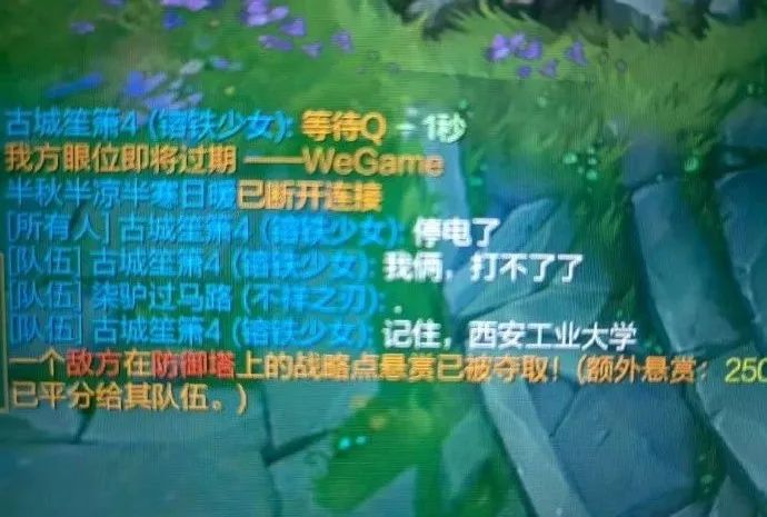 Word文档图片