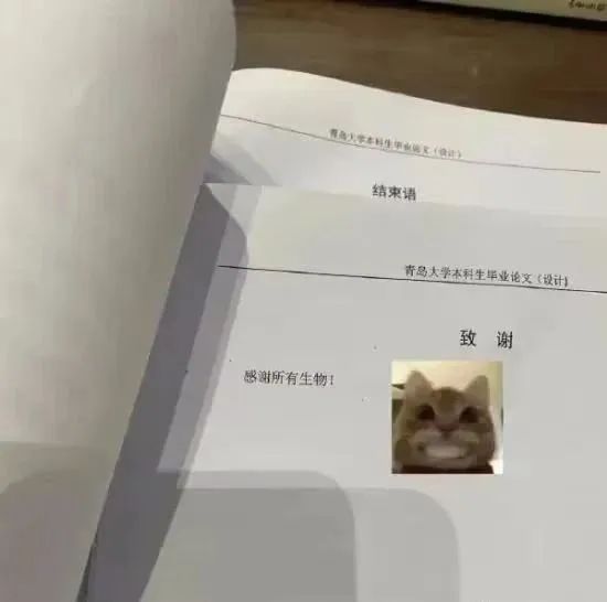 Word文档图片