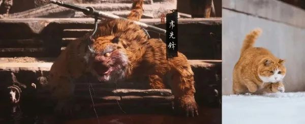 Word文档图片