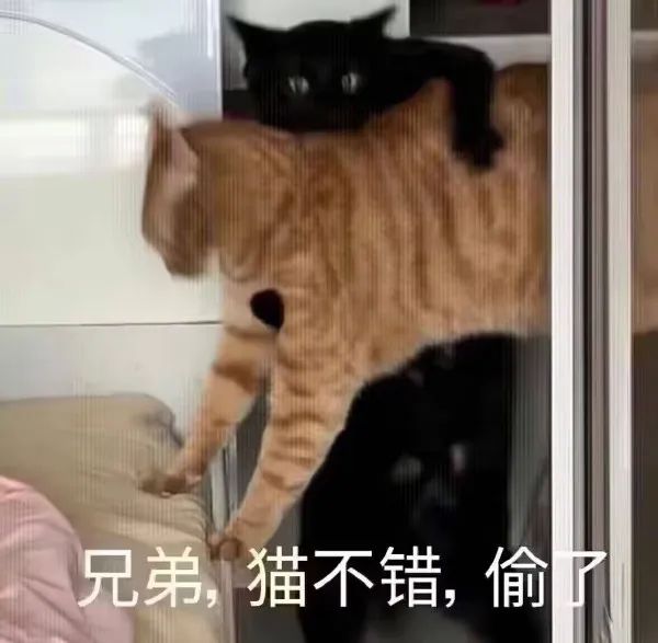 Word文档图片