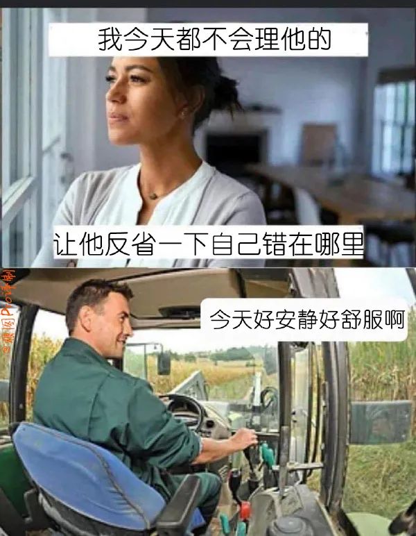 Word文档图片