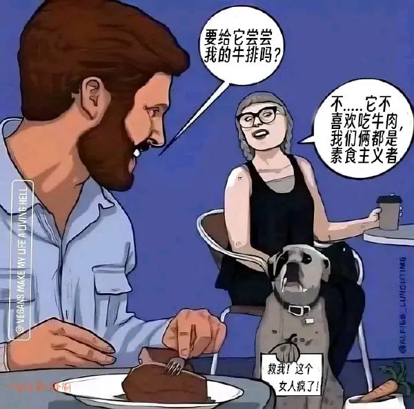 Word文档图片