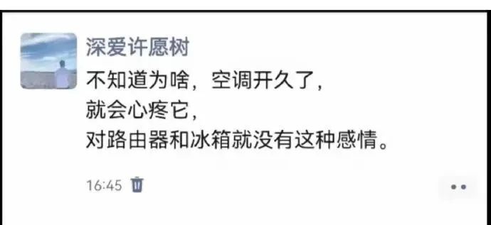 图：大声告诉我，钢丝球的花语是什么？
