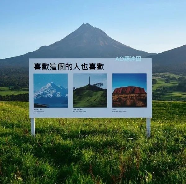Word文档图片