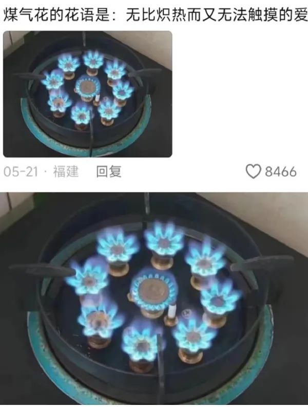 Word文档图片