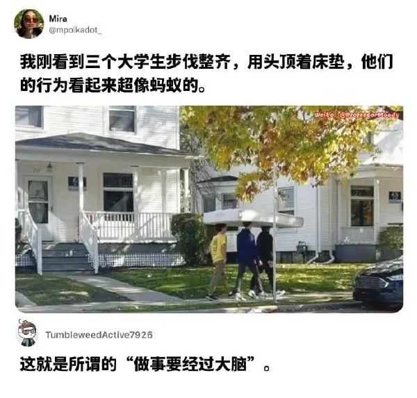 图：只是赶到客厅沙发，可以说爽歪歪