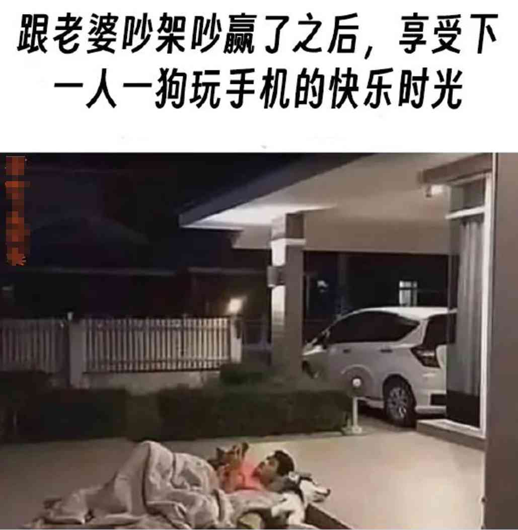 Word文档图片
