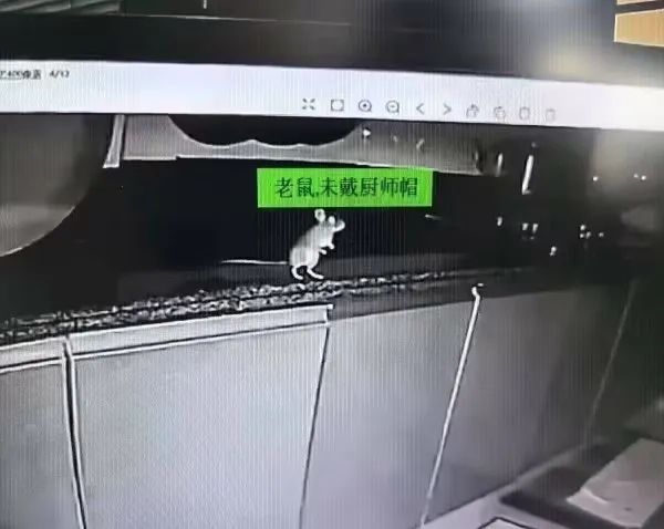 Word文档图片