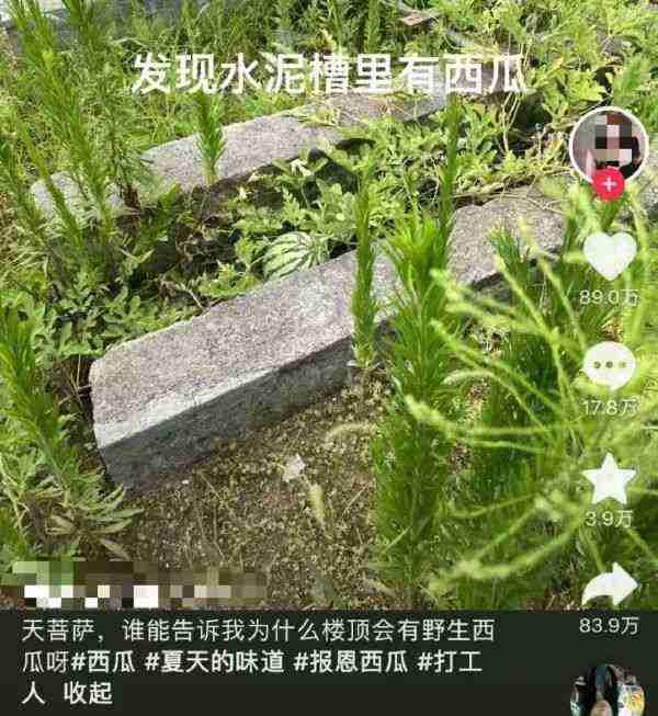 Word文档图片