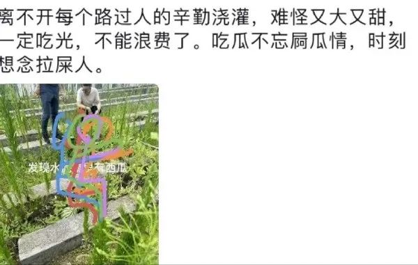 Word文档图片