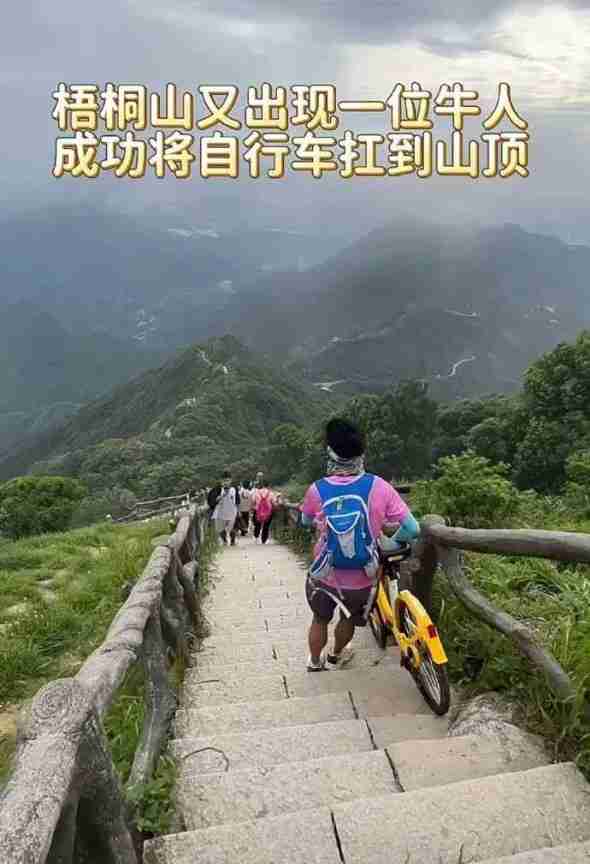 Word文档图片