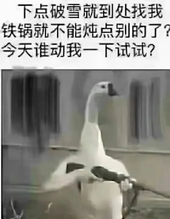 Word文档图片