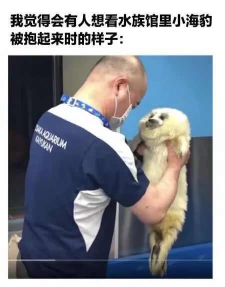 Word文档图片