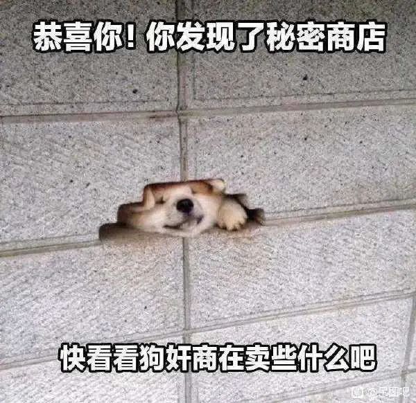 Word文档图片